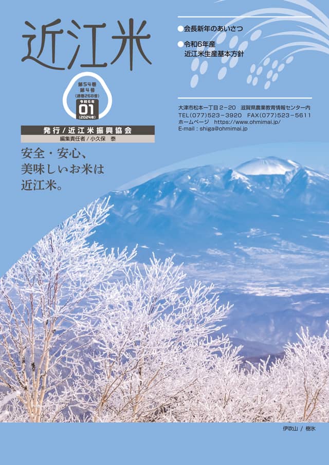 日米同時公開10月【送料込！⠀】 近江ブレンド30kg 小粒（未検） 業務用精白米 | 株式会社ヤマダ
